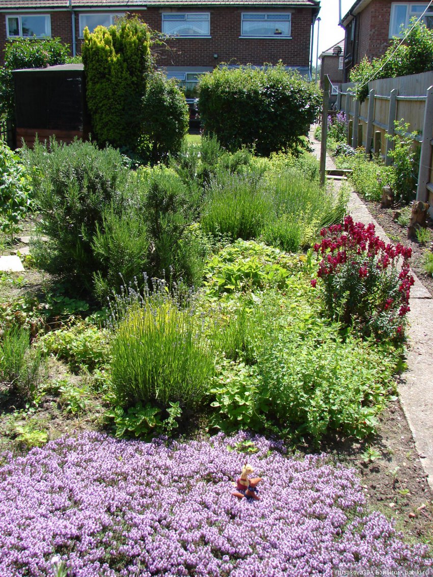 Бабайкины детки. Друг приехал