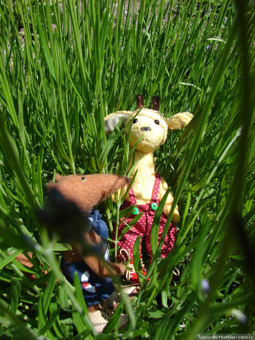 Бабайкины детки. Друг приехал