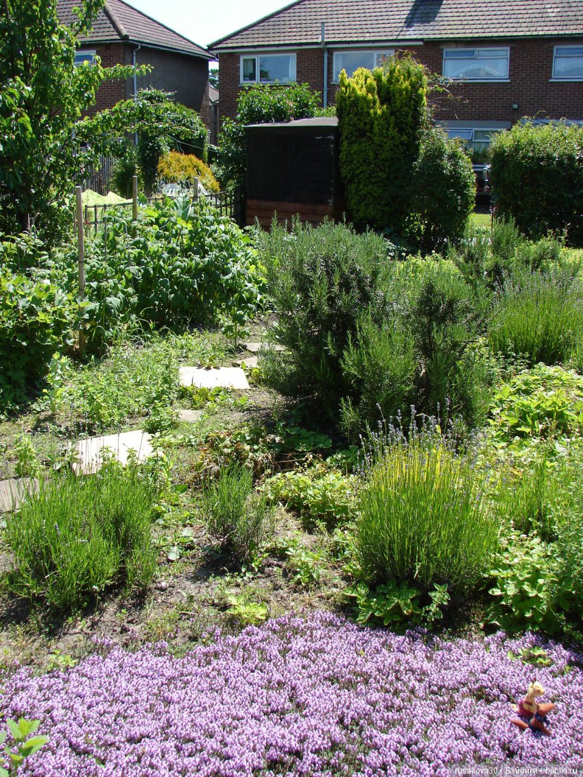 Бабайкины детки. Друг приехал