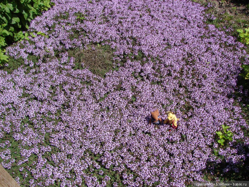 Бабайкины детки. Друг приехал (фото 9)