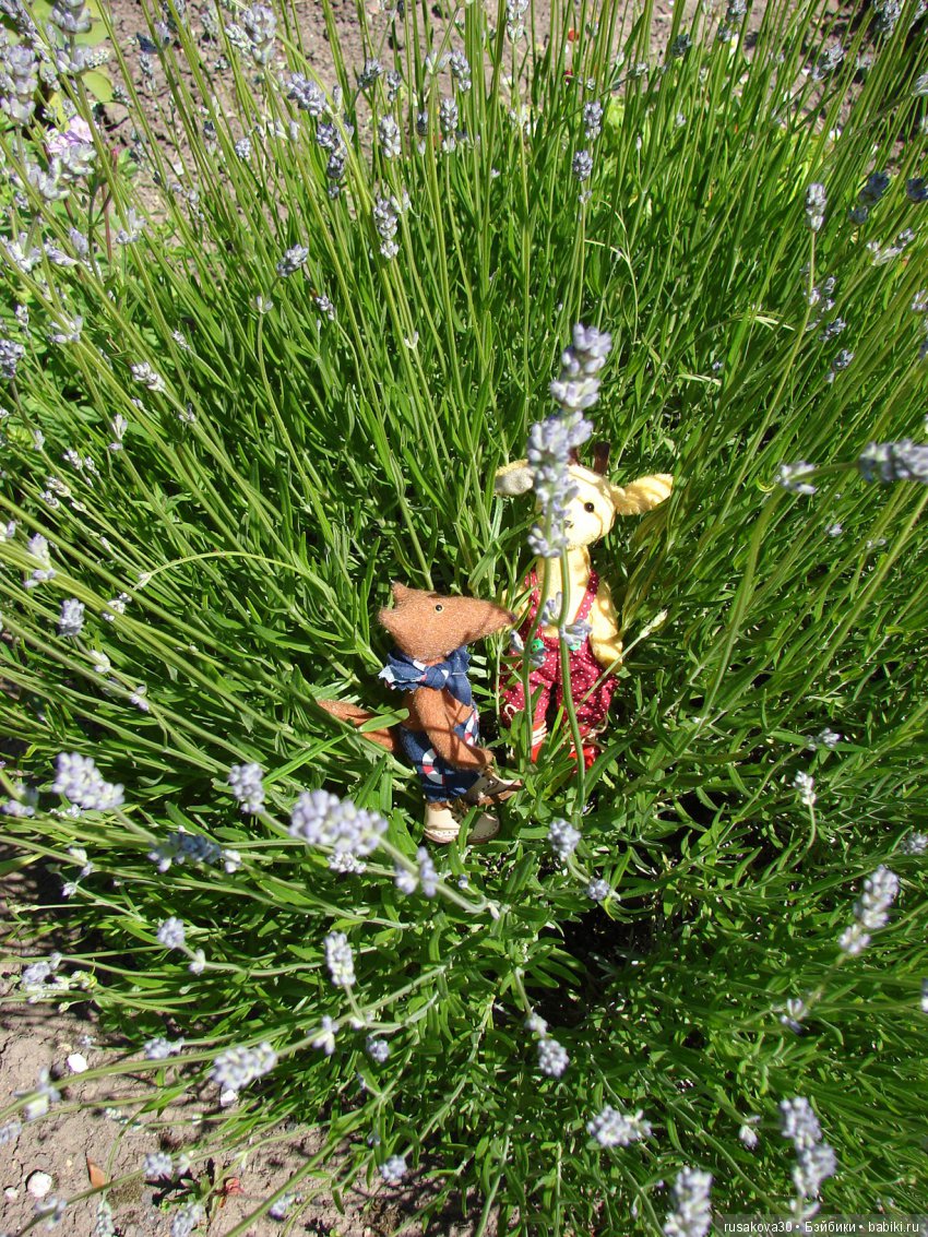 Бабайкины детки. Друг приехал