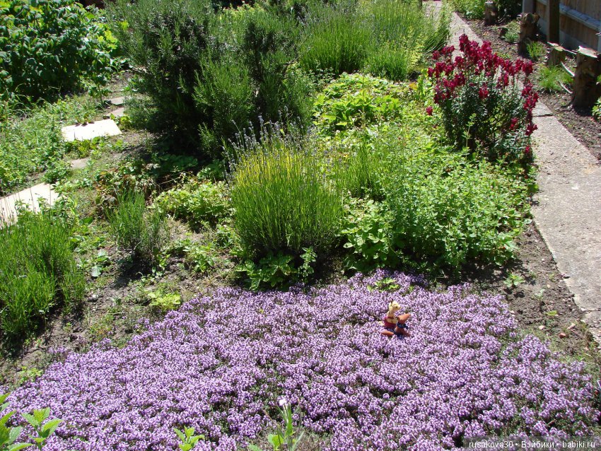 Бабайкины детки. Друг приехал