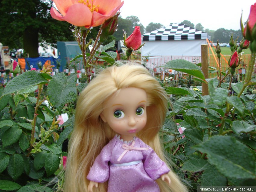 Принцесски на сельской ярмарке