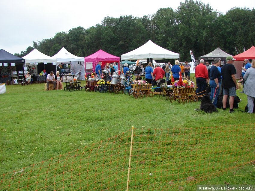 Принцесски на сельской ярмарке