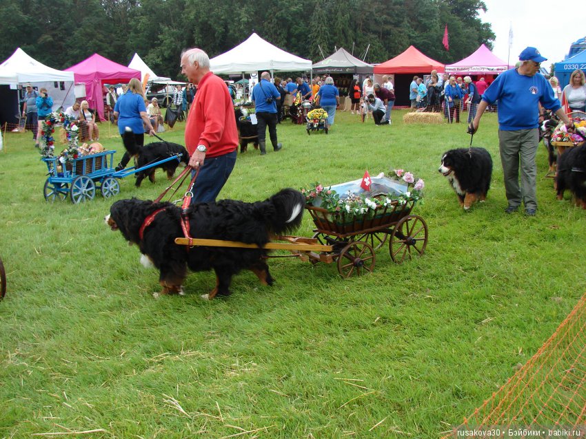 Принцесски на сельской ярмарке