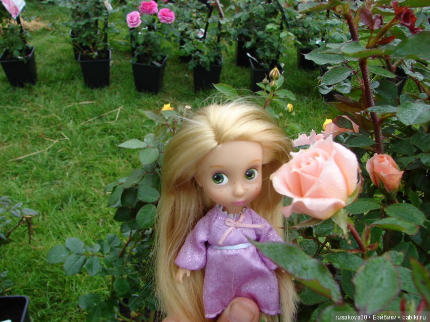 Принцесски на сельской ярмарке