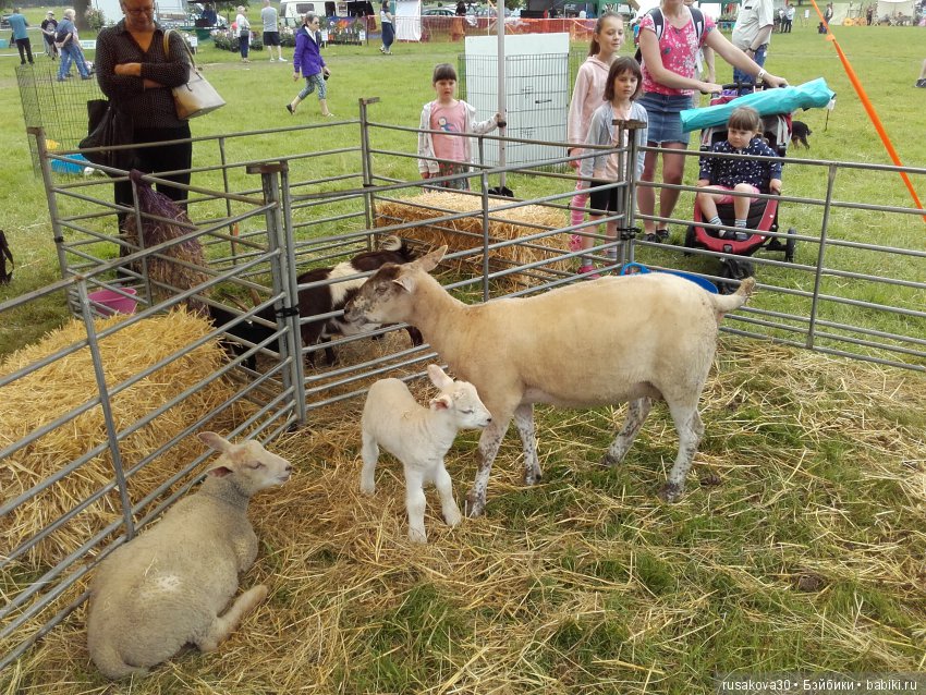 Принцесски на сельской ярмарке