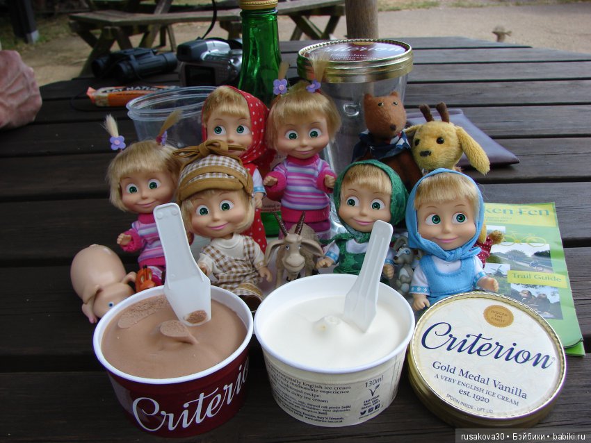 Машки, Людвиг и Жирафик осматривают Wicken Fen (Фенские болота)