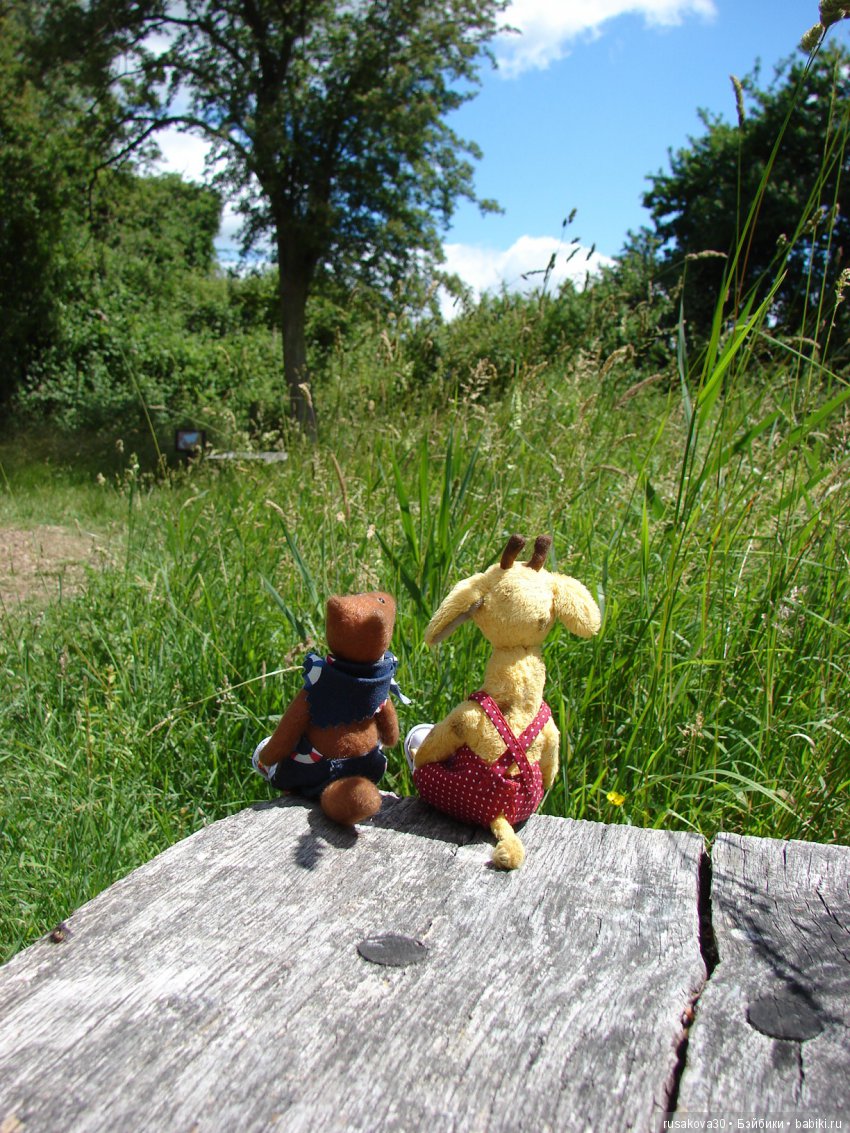 Машки, Людвиг и Жирафик осматривают Wicken Fen (Фенские болота)