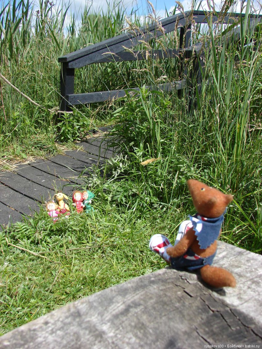 Машки, Людвиг и Жирафик осматривают Wicken Fen (Фенские болота)