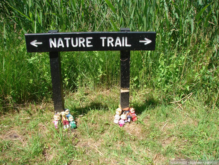 Машки, Людвиг и Жирафик осматривают Wicken Fen (Фенские болота)