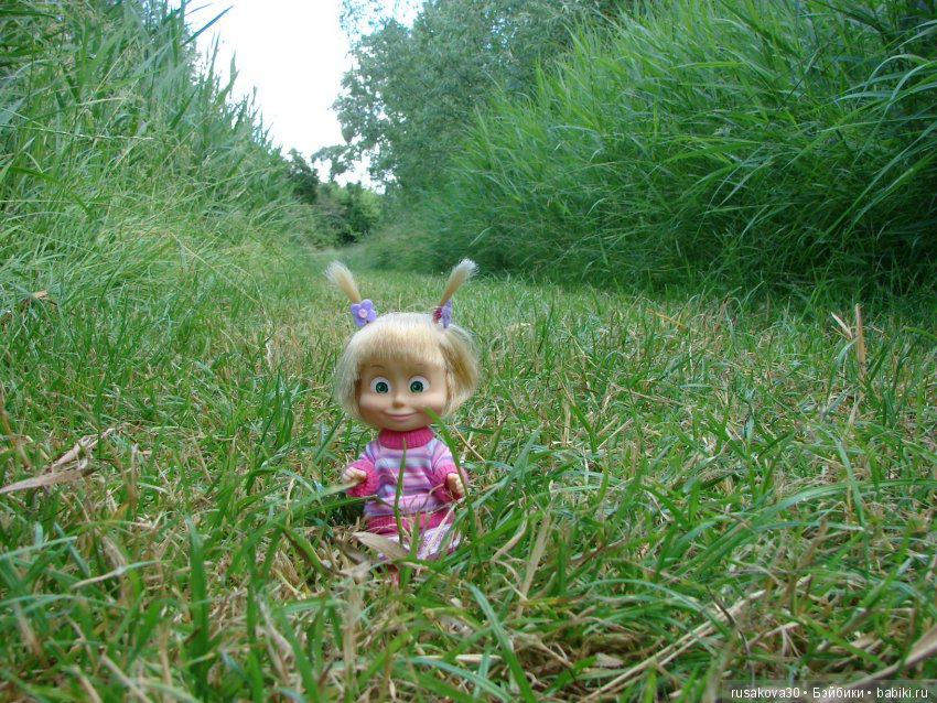 Машки, Людвиг и Жирафик осматривают Wicken Fen (Фенские болота)