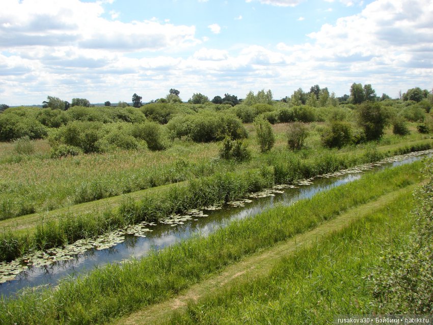 Машки, Людвиг и Жирафик осматривают Wicken Fen (Фенские болота)
