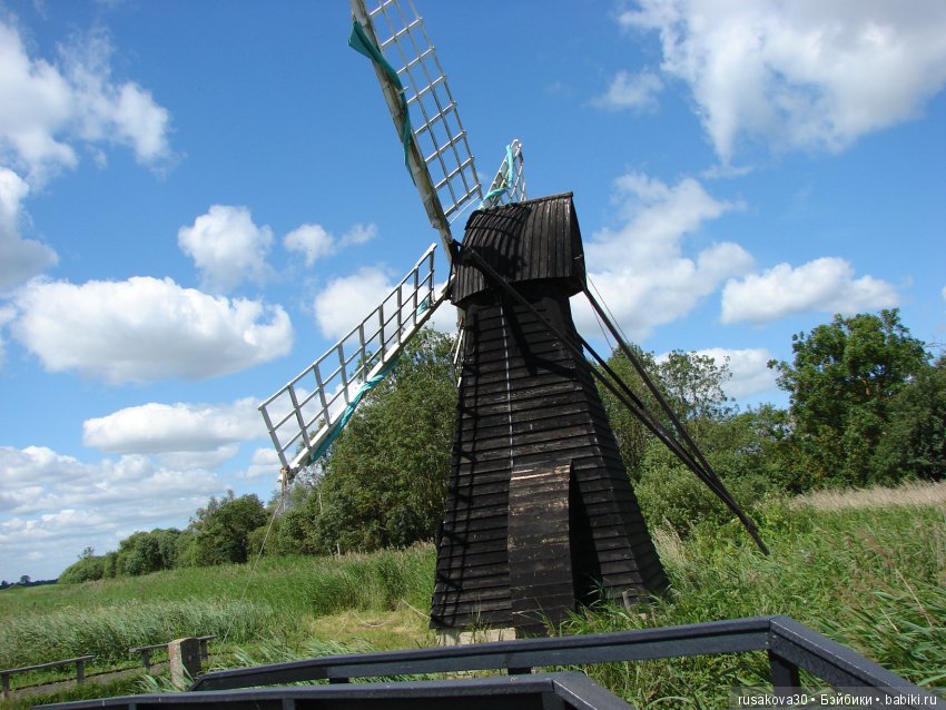 Машки, Людвиг и Жирафик осматривают Wicken Fen (Фенские болота) (фото 7)