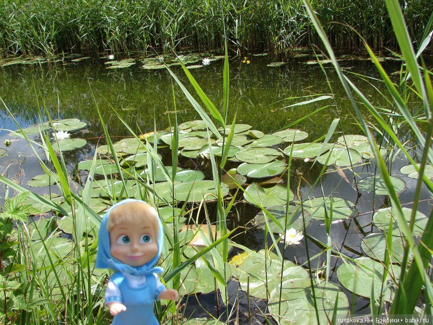 Машки, Людвиг и Жирафик осматривают Wicken Fen (Фенские болота)