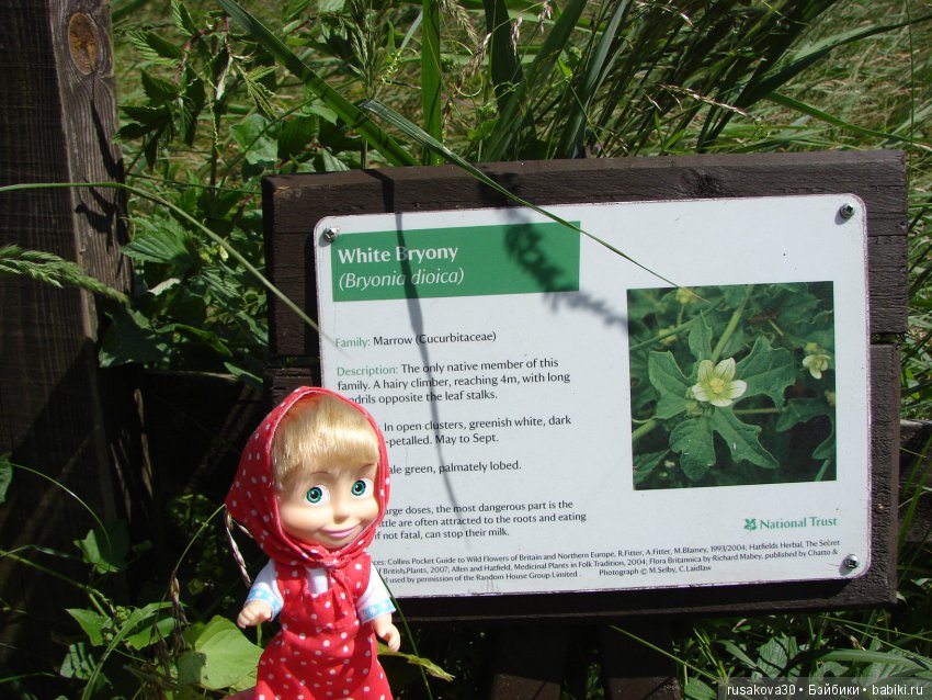 Машки, Людвиг и Жирафик осматривают Wicken Fen (Фенские болота)