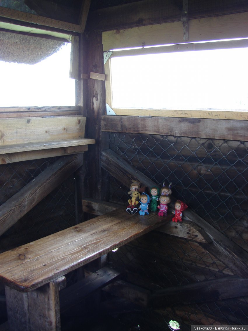 Машки, Людвиг и Жирафик осматривают Wicken Fen (Фенские болота)