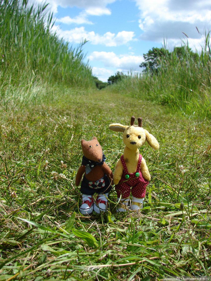 Машки, Людвиг и Жирафик осматривают Wicken Fen (Фенские болота)