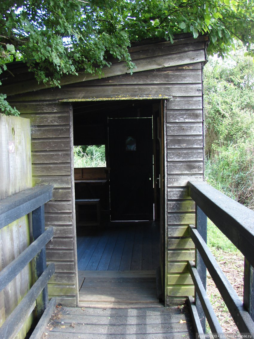 Машки, Людвиг и Жирафик осматривают Wicken Fen (Фенские болота)