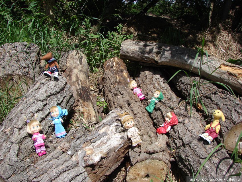 Машки, Людвиг и Жирафик осматривают Wicken Fen (Фенские болота)