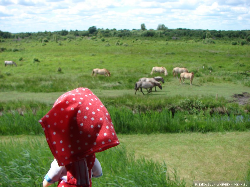 Машки, Людвиг и Жирафик осматривают Wicken Fen (Фенские болота)