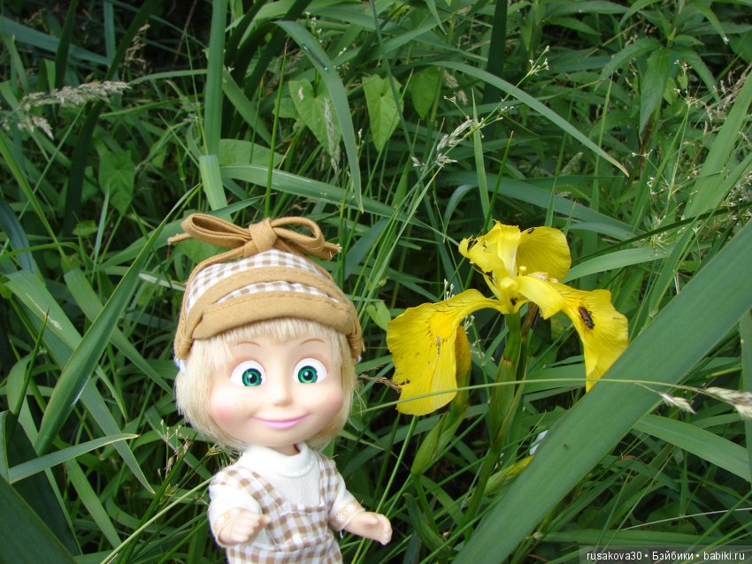 Машки, Людвиг и Жирафик осматривают Wicken Fen (Фенские болота)