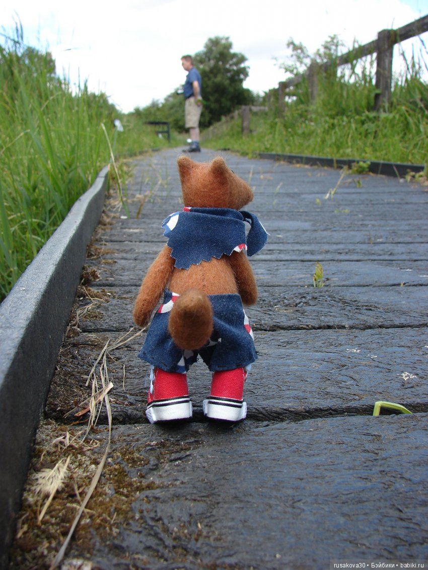 Машки, Людвиг и Жирафик осматривают Wicken Fen (Фенские болота) (фото 9)