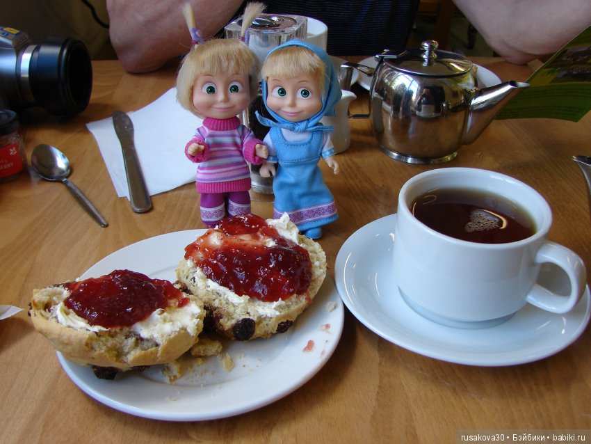 Машки, Людвиг и Жирафик осматривают Wicken Fen (Фенские болота)