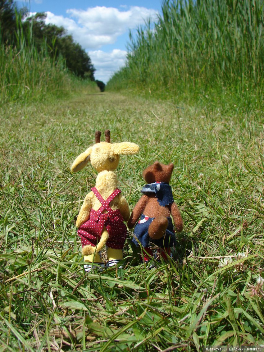 Машки, Людвиг и Жирафик осматривают Wicken Fen (Фенские болота)