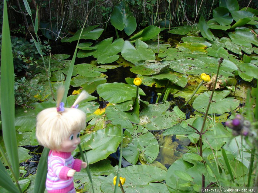 Машки, Людвиг и Жирафик осматривают Wicken Fen (Фенские болота)