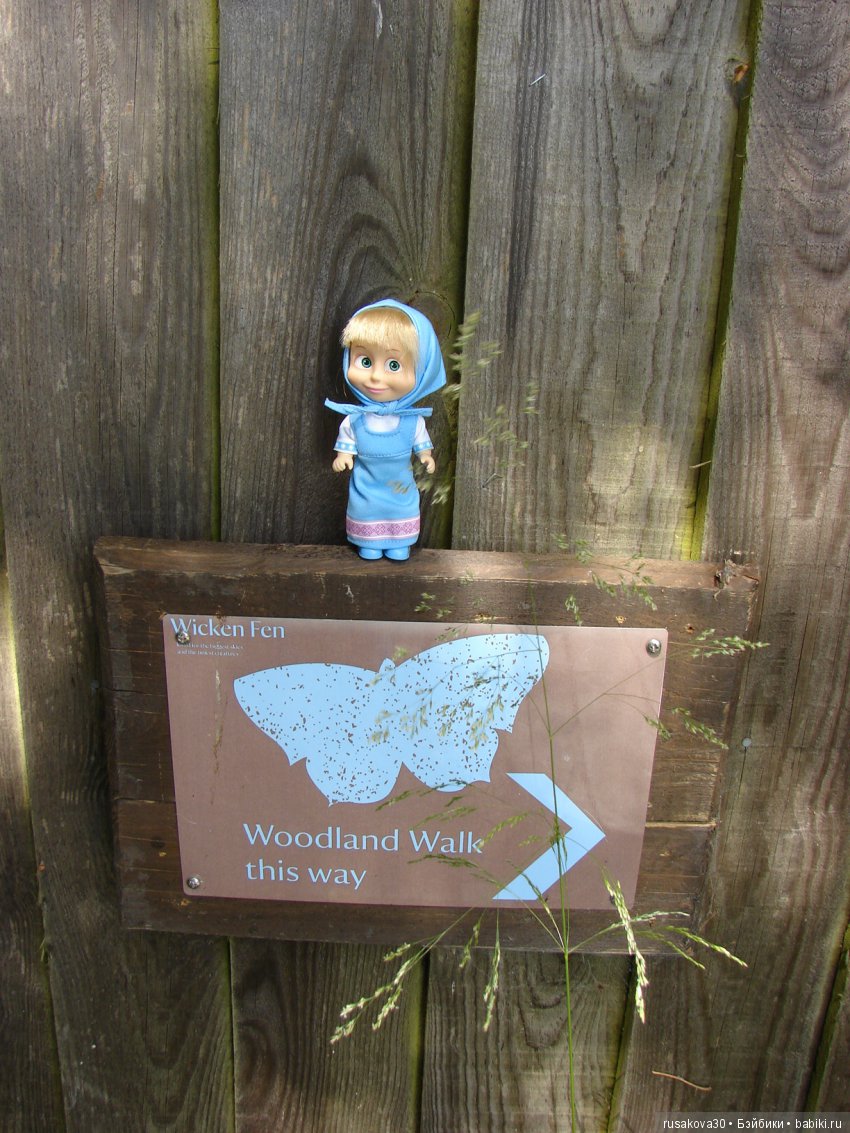 Машки, Людвиг и Жирафик осматривают Wicken Fen (Фенские болота)