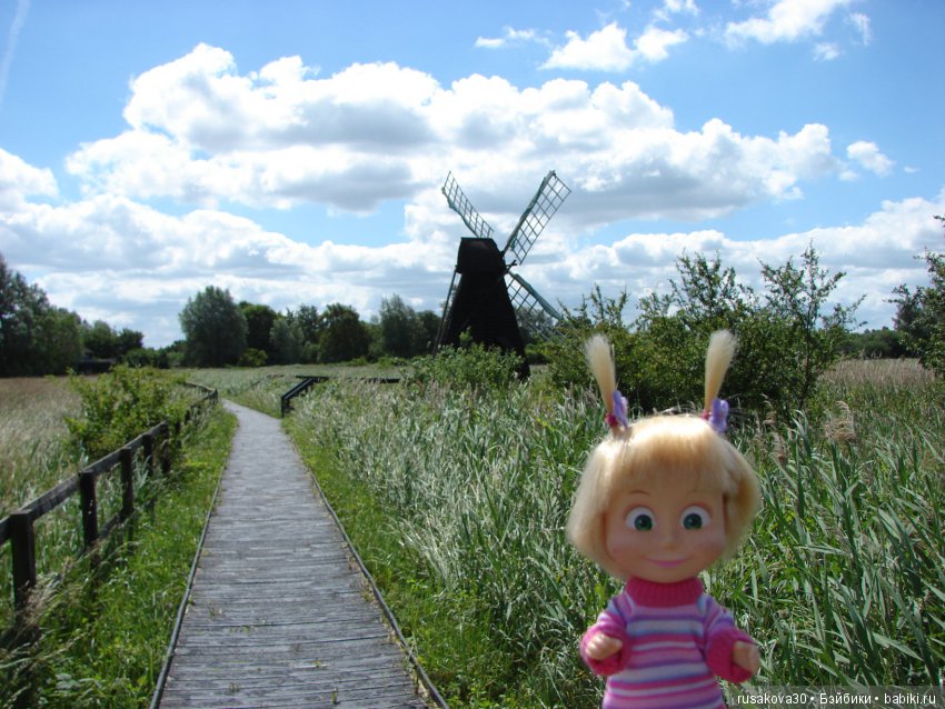 Машки, Людвиг и Жирафик осматривают Wicken Fen (Фенские болота) (фото 10)