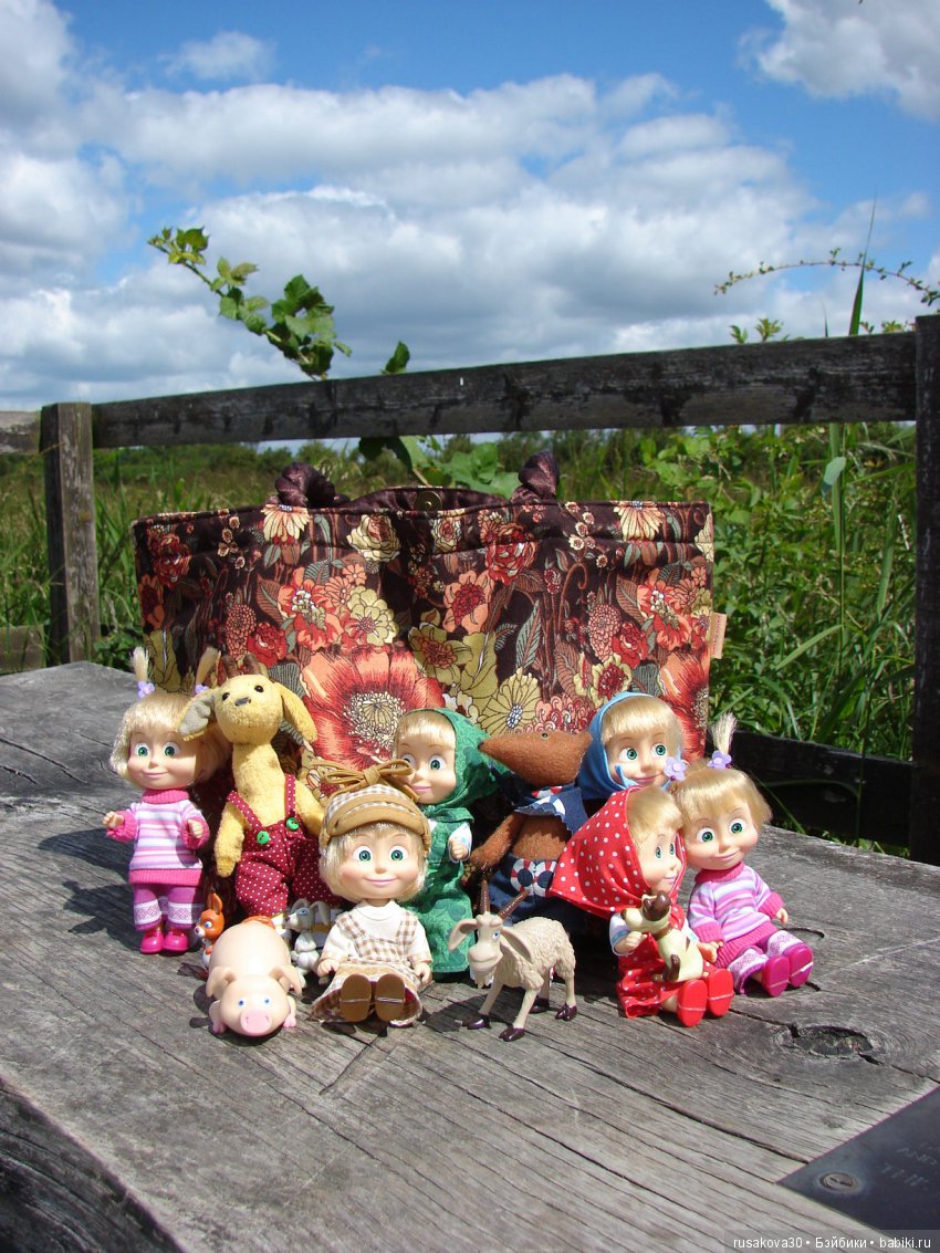 Машки, Людвиг и Жирафик осматривают Wicken Fen (Фенские болота)