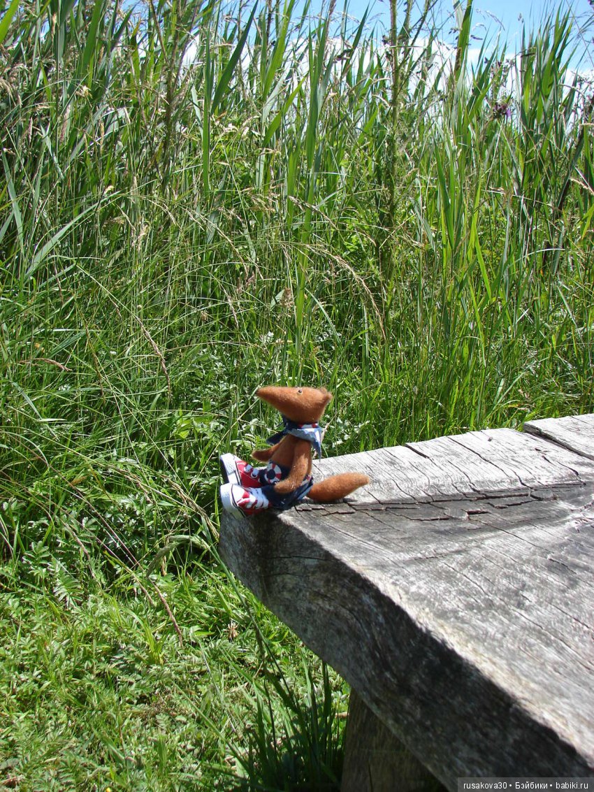 Машки, Людвиг и Жирафик осматривают Wicken Fen (Фенские болота)