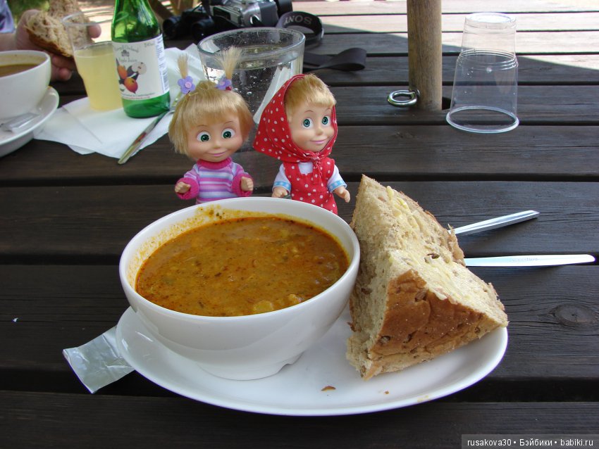 Машки, Людвиг и Жирафик осматривают Wicken Fen (Фенские болота)