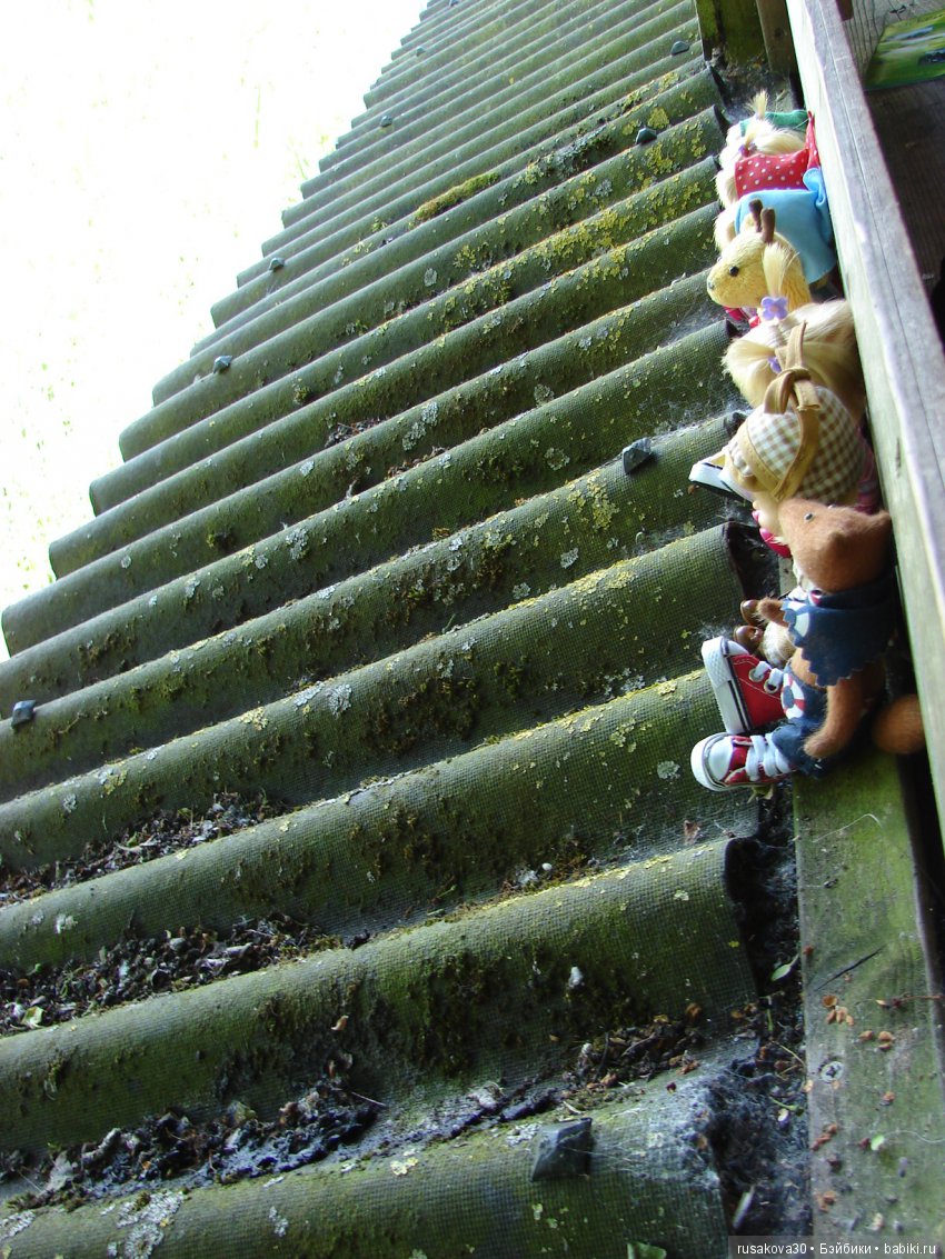 Машки, Людвиг и Жирафик осматривают Wicken Fen (Фенские болота)