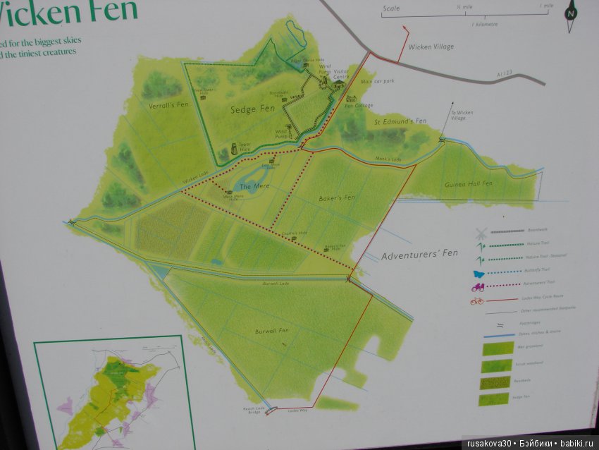 Машки, Людвиг и Жирафик осматривают Wicken Fen (Фенские болота)