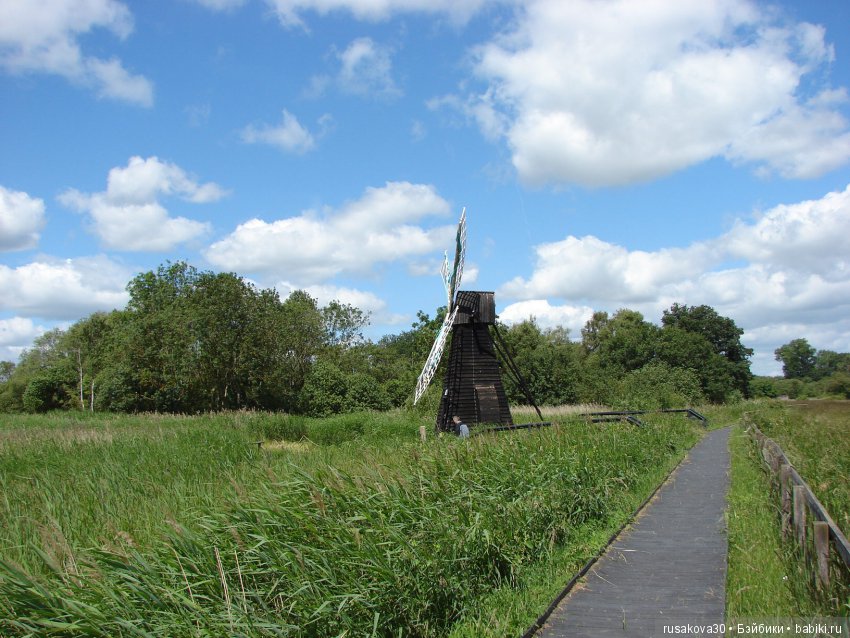 Машки, Людвиг и Жирафик осматривают Wicken Fen (Фенские болота) (фото 6)