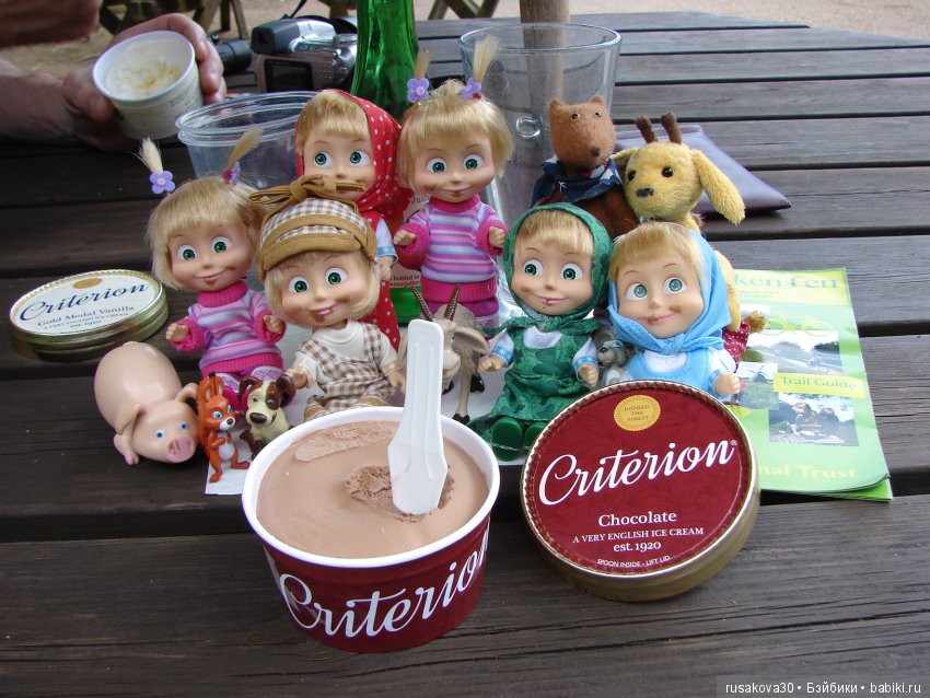 Машки, Людвиг и Жирафик осматривают Wicken Fen (Фенские болота)