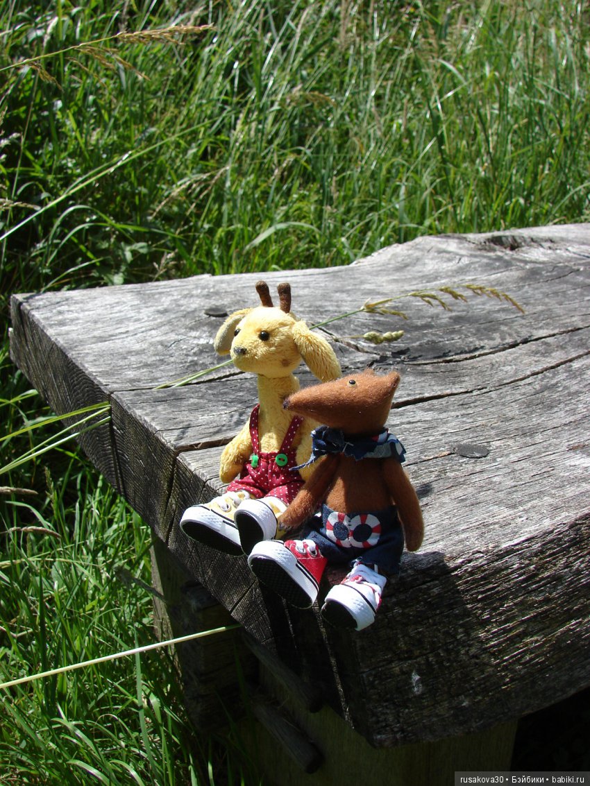 Машки, Людвиг и Жирафик осматривают Wicken Fen (Фенские болота)