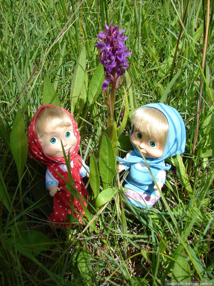 Машки, Людвиг и Жирафик осматривают Wicken Fen (Фенские болота)