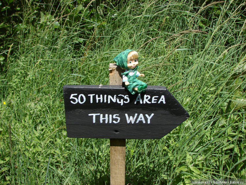 Машки, Людвиг и Жирафик осматривают Wicken Fen (Фенские болота)