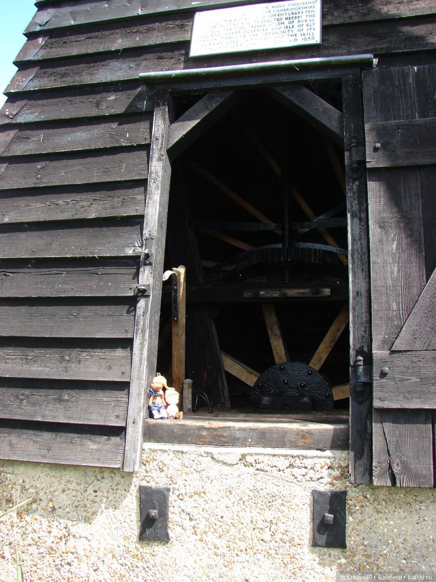 Машки, Людвиг и Жирафик осматривают Wicken Fen (Фенские болота) (фото 8)