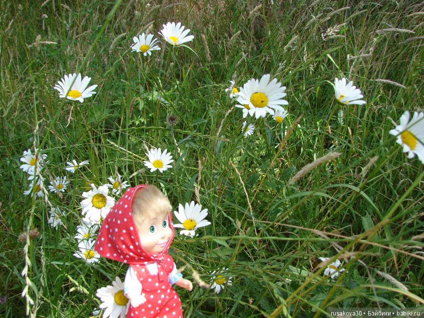 Машки, Людвиг и Жирафик осматривают Wicken Fen (Фенские болота)