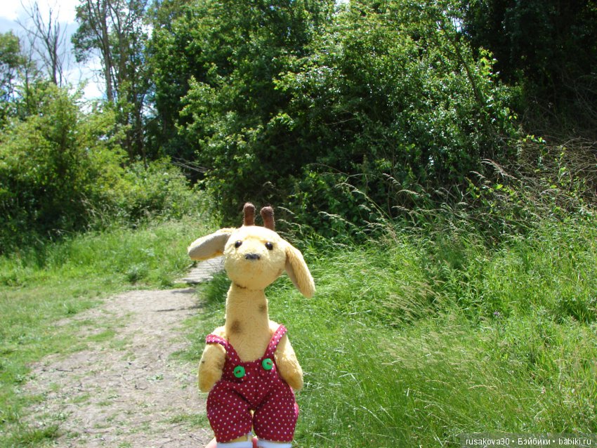 Машки, Людвиг и Жирафик осматривают Wicken Fen (Фенские болота)