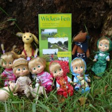 Машки, Людвиг и Жирафик осматривают Wicken Fen (Фенские болота)