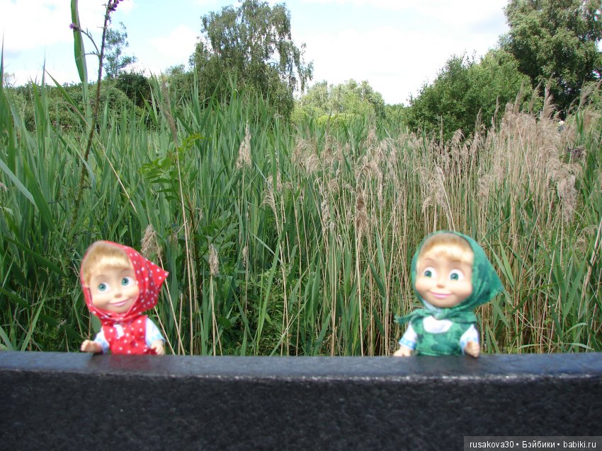 Машки, Людвиг и Жирафик осматривают Wicken Fen (Фенские болота) (фото 3)