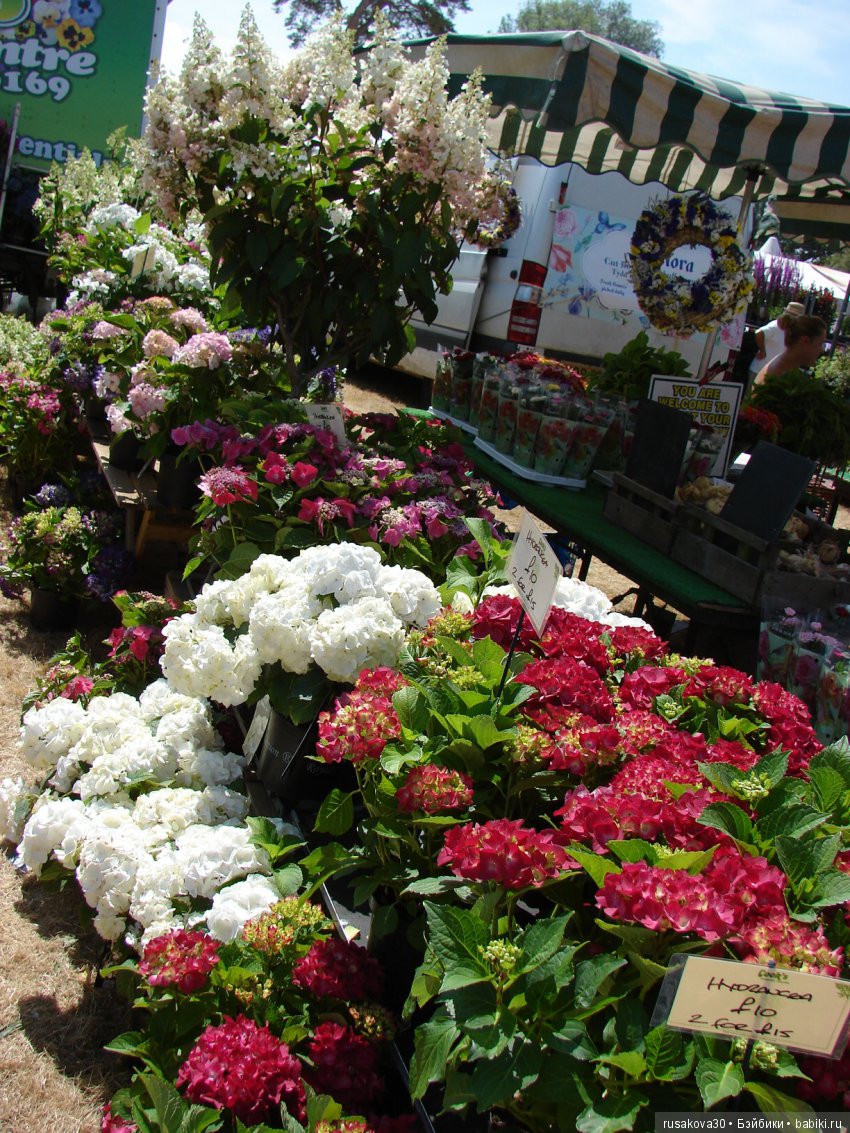 Цветочная ярмарка в королевском поместье