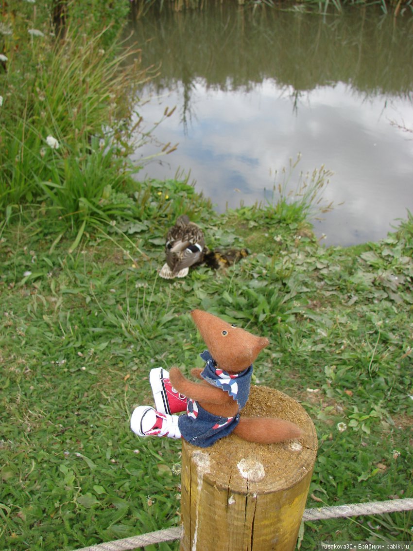 Маленький заповедник для птиц