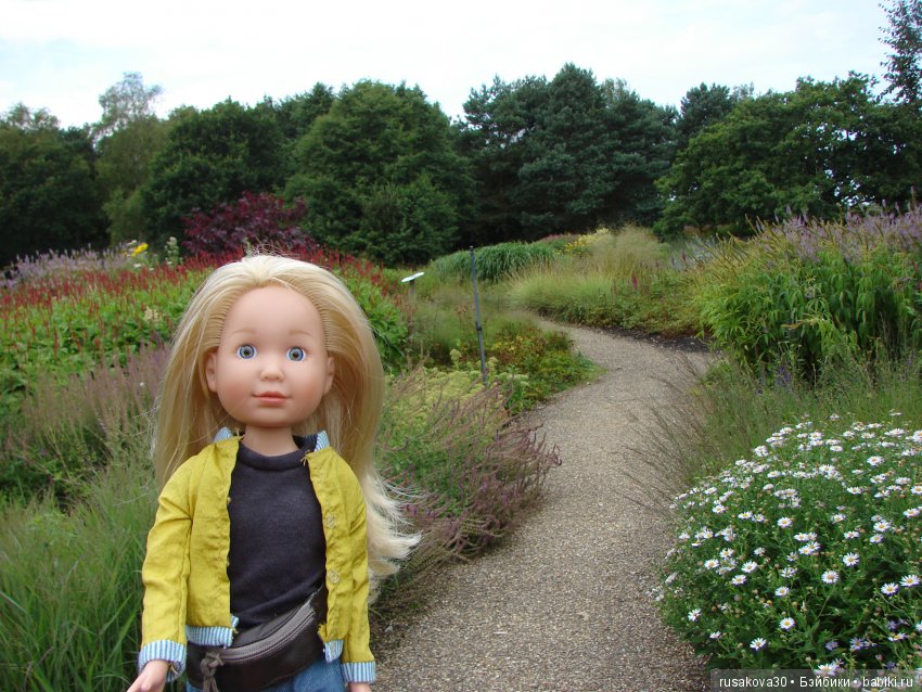 Маленький заповедник для птиц